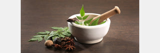 Ayurveda Biology Added to UGC NET 2024 Exam Subject List