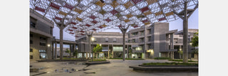 India Education News: IIT Data Science Course, DU Exit Options, AI Jobs