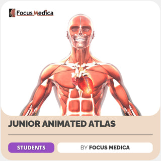 Junior Animated Atlas | Focus Medica - Focus Medica - fundaspring