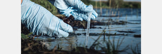 Environmental Scientist: Career, Roles, Education & Salary Guide