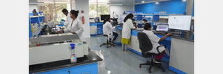 IIT Madras Unveils World's First 3D High-Resolution Human Fetal Brain Images