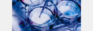 Biotechnology Researcher: Career, Skills & Future Job Trends