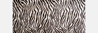 What Is the Zebra Question? Psychology, Perception & Cognitive Bias