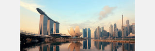The Rise of Singapore: The New Global Hotspot for International Students