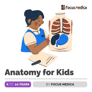 Anatomy for Kids | Focus Medica - FundaSpring