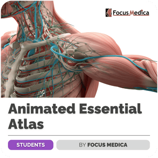 Animated Essential Atlas of Anatomy and Physiology | Focus Medica - FundaSpring