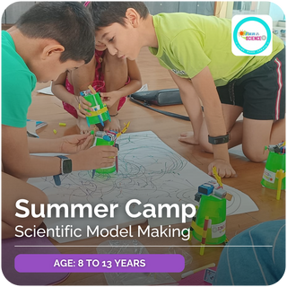 Summer Camp - Scientific Model Making | Fun in Science | Bengaluru - FundaSpring