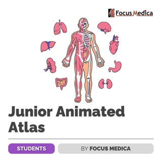 Junior Animated Atlas | Focus Medica - FundaSpring